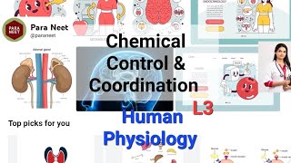 Chemical coordination and regulation Lecture 3 [upl. by Jeffers]