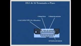 DIAGNÓSTICO CON ESCANER GENERICO [upl. by Lamoureux75]