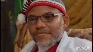 CONGRAT AS NNAMDI KANU IS DECLAIRED Free HÉÄVY CELEBRATION As Tinubu Is Asked 2 Release NNAMDI KANU [upl. by Kilk]