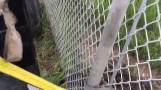 Tightening chain link fence [upl. by Whitford286]