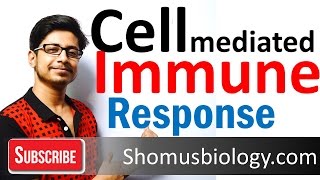 Cell mediated immunity  innate immune response [upl. by Ehctav217]