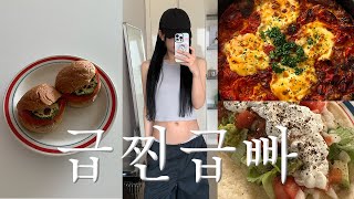 50kg⇢48kg 급찐급빠 5일 다이어트 브이로그 ✲ 굶지 않고 맛있는거 다 먹으면서 붓기 빼는 방법 🌮 다이어트 레시피 [upl. by Notgnirrac]