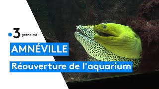 Réouverture de laquarium dAmnéville [upl. by Elwira]