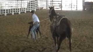 Calf Roping Horses for sale  trained by Jason Hanchey [upl. by Alain124]