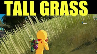 Hide in Tall grass for 10 seconds Location  Fortnite TALL GRASS LOCATION [upl. by Atillertse]