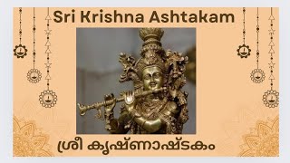 Sri Krishna Ashtakam ശ്രീ കൃഷ്ണാഷ്ടകം🕉️ [upl. by Alroi]