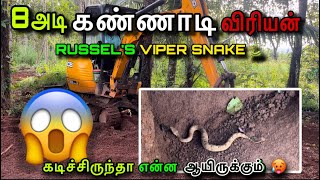 8 அடி ௧ண்ணாடி விரியன் பாம்பு 😱 தப்பிச்சன்டா சாமி 🥵RUSSEL’S VIPERDABOIA RUSSELIIIVERY DANGEROUS 🐍 [upl. by Ahtoelc]