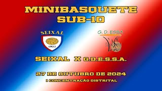 24 25 Sub 10 1ª CD Seixal x G D ESSA [upl. by Brick263]