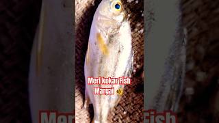 Meri Khokar Fish Margai 🐠🐠🐟💕Short ViralTrandingFunny [upl. by Ambrosi]