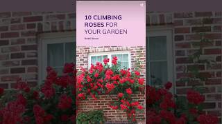 Top 10 Climbing Roses for Your Garden [upl. by Bidget496]