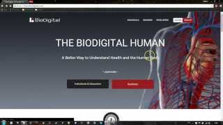 BioDigital Human Tutorial  part 1 [upl. by Jaquenette]