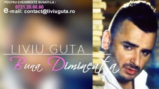 LIVIU GUTA  BUNA DIMINEATA [upl. by Cad]