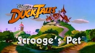 Ducktales  Old Hindi Ducktales  Scrooges Pet [upl. by Qooraf]