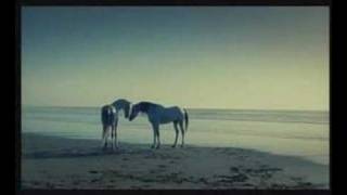 Spot Turismo de Marruecos  Agadir [upl. by Sueaddaht]