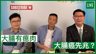 大腸有瘜肉 大腸癌先兆？  健康旦早晨  02062022 主持：鄭丹瑞 嘉賓：張永德醫生 [upl. by Ahsinuq]