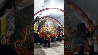 Atraksi Seru Reog Ponorogo Gembong Kencana reog reogponorogo baronganbloro barongan shorts fyp [upl. by Ecaidnac]