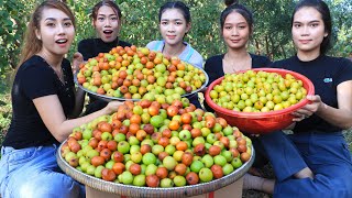 Fresh jujube fruit in my homeland eating with chili salt  jujube fruit [upl. by Eidnak11]