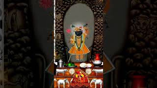 Aaj Ke Darshan Ashwin Shukla Chaturthi 07 October 2024 shrinathjikedarshantrendingshorts [upl. by Eirrot]