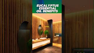 🌿The 1 Reason to Use Eucalyptus Oil in Your Shower [upl. by Yehudit]