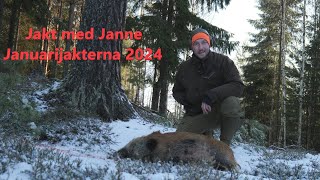 Jakt med Janne  Januarijakterna 2024 4K [upl. by Notsirt]