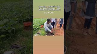 BSc Agriculture Course Details  Agronomy Practical  Agriculture College [upl. by Aerdnael]