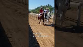 Carreras de caballos de Mexico solo para los carrereros de Mexico 🇲🇽🏇🏇🏇🏇🏇🏇🐴🐎 [upl. by Erdnaid199]