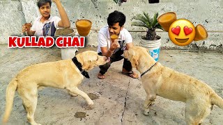 SPECIAL KULLAD CHAI😍☕ FOR MY BESTFRIEND 😅 THE SHIVA VLOGS [upl. by Acila]