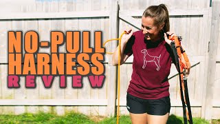 Which No Pull Harness Is Best [upl. by Irma]