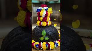 Om namah shivay ♥️ ♥️♥️💛💛💓💓💕 viralvideo viral trending mahakal viralvideo [upl. by Wescott]