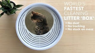 Best Cat Litter Box  2019 [upl. by Barnaba]