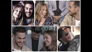 Melwood  SDCC 2017 [upl. by Arda]