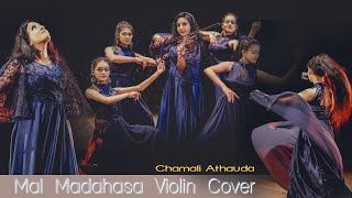 Mal Madahasa Violin Cover  Chamali Athauda malmadahasa violincover bns sgmtunes [upl. by Johppa234]