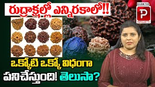 Types of Rudraksha and Uses Explained  Bhakthi Popular TV [upl. by Keare10]