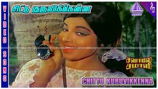 Chittu Kuruvikkenna Video Song  Savaale Samali Movie Songs  Sivaji Ganesan  Jayalalithaa [upl. by Alisander]