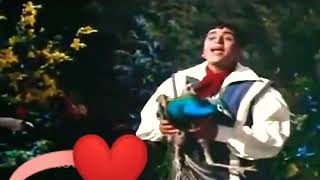 Bhaharon Phool Barsao Mera Mehboob Aaya Hai  WhatsApp Status Video  Mohammad Rafi  Rajendra Kumar [upl. by Lotz364]