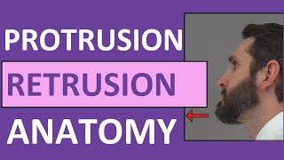 Protrusion Retrusion and Excursion Anatomy Body Movement Terms [upl. by Shaffer]