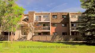 Calgary Apartments for Rent Video  5300 Rundlehorn Dr NE [upl. by Aissat]