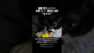 quot발톱깎기 실턈 냠얌냠quot 말하는 고양이 츄르 먹방 [upl. by Rbma]