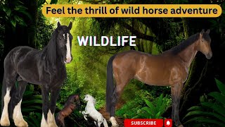 Feel the thrill of wild horse adventure WILD Horses [upl. by Hiltan]