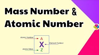 Atomic Number amp Mass Number  Structure of Atom  Class 11 amp 12  Science [upl. by Shyamal982]