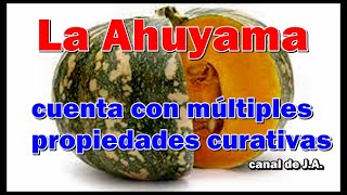 La Ahuyama cuenta con múltiples propiedades curativas [upl. by Lotta393]