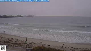 Steve Seabury Higgins Beach Properties Live Webcam [upl. by Joy430]