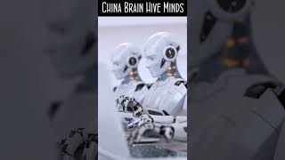 China Brain Hive Minds [upl. by Orpah614]