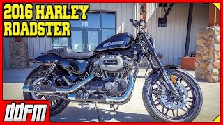 Harley Sportster vs Roadster  2016 Harley Davidson Roadster Preview [upl. by Herschel]