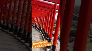 Mesmerising Senbon Torii Gates Thousand Torii Gates in Japan 千本鳥居） [upl. by Nadabus499]