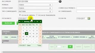 Consulta de comprobantes electrónicos recibidos [upl. by Annavaig]