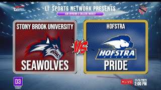 AAU Division 3 College Hockey  Stony Brook University vs Hofstra University [upl. by Nulubez]