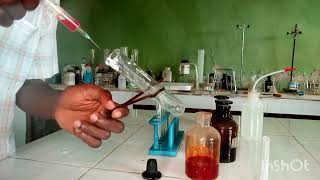 WAEC 2024 Chemistry Practical Qualitative Analysis salt analysis [upl. by Ylirama]