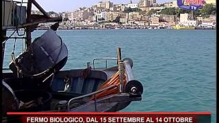 FERMO BIOLOGICO DAL 15 SETTEMBRE AL 14 OTTOBRE [upl. by Giwdul409]