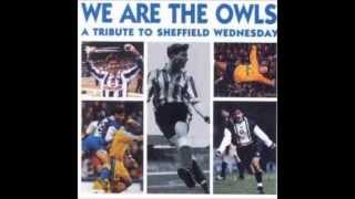 Sheffield Wednesday  March for Wembley [upl. by Peper559]